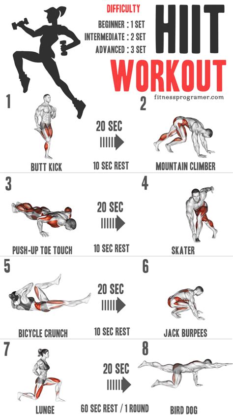 One Arm Dumbbell Row 2 - 3 12 - 15 3. . Hiit exercises list pdf